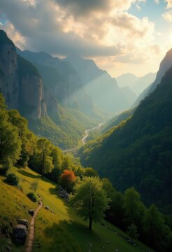Dappled Sunlight Filtering Through Leafy Canopy at Mountain Base Serenity Trees
