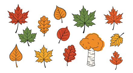 Selection of various colorful autumn leaves from different tree species and one whole tree isolated on a plain white background.