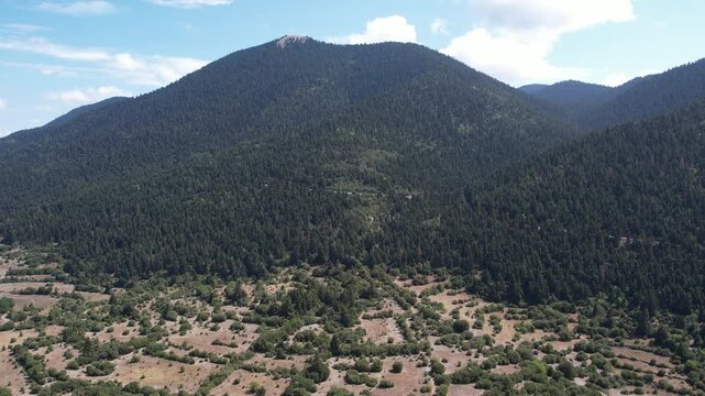 Forested mountain peak above wide rural plain with highway through trees