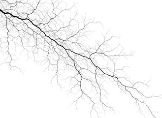 Fototapeta premium Lightning strike abstract on white background, branching electrical energy, nature's power, dark lines