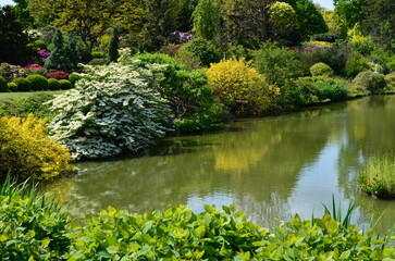 Staw w Arboretum w Wojsławicach wiosną © Ewa