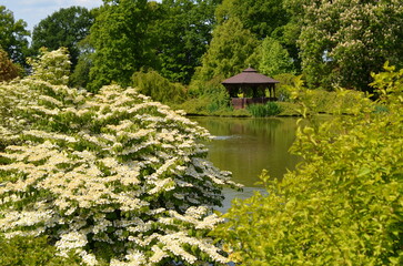 Altana nad stawem w wiosennym ogrodzie © Ewa
