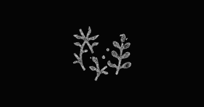 Sketch phytoplankton icon animation - smooth progressive reveal