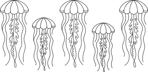 Jellyfish Line Art Collection Marine Sea Creature Outline Vector Illustration Set © Honey!
