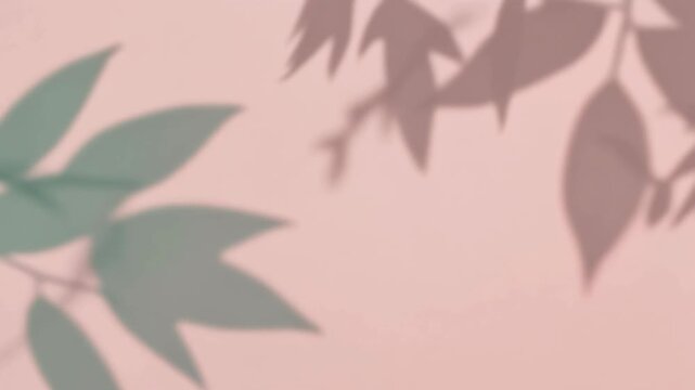 Abstract background with shadows of leaves on a pink wall creating a serene and natural aesthetic for various design projects.