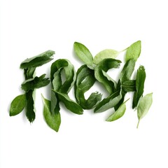 Fototapeta premium Word fresh lettering made of green leaves and paper, isolated on white background