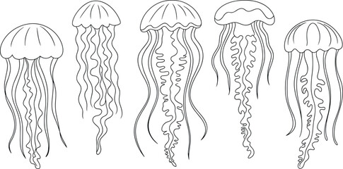 Minimalist black and white jellyfish line art vector collection with various stinging sea creatures for modern ocean designs. © Ahmed Sahid