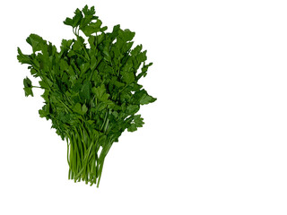 Fresh Parsley Bunch on White Background with Copy Space - Healthy Green Herb
