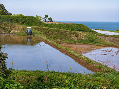 Nii Rice Terraces Paddy with Small Tractor Overlooking the Sea &ndash; Ine, Kyoto Japan