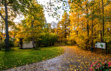Naklejka premium autumn in the park