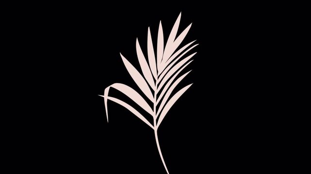 Minimalist White Palm Leaf Silhouette on a Striking Black Background.