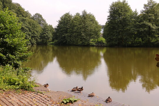 Blick auf den Seilersee in Iserlohn	