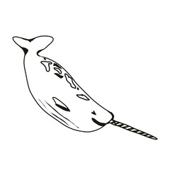 Hand drawn narwhal doodle for Arctic animals worksheet © MY