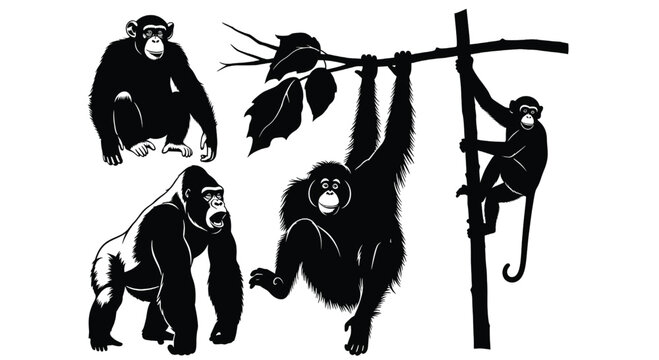 Monkeys playing and interacting in a tree, swinging from branches, a vector illustration of primates in their natural habitat