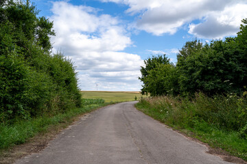 Road between trees and farmland in the landscape