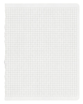 Blank white grid paper texture with a ragged left edge tear