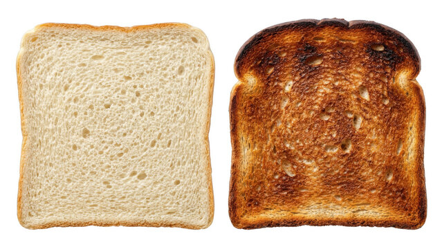 Contrast of a Slice of Untoasted White Bread and an Overly Toasted Slice