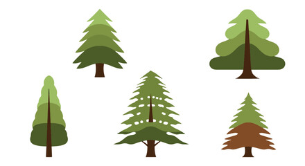 Fototapeta premium Cedar Tree Line art creative shape color illustration