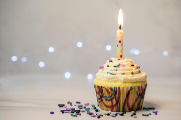 birthday cupcake with candle