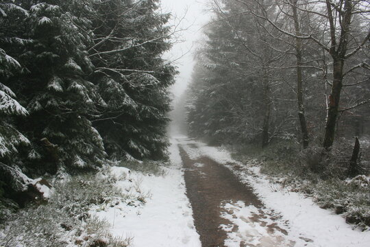 Wanderweg Hochmoor am Hohloh