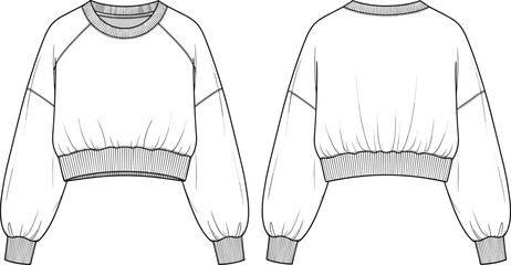 Fashion technical flat sketch of a cropped raglan sleeve sweatshirt with ribbed crew neck and cuffs for apparel design templates © Mst