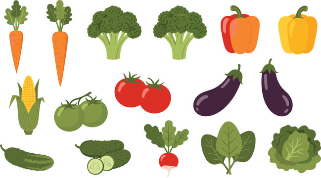 Hand drawn style organic vegetable vector set featuring carrots broccoli bell peppers tomatoes corn eggplant cucumber and green lettuce.