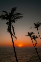 Obraz premium Silhouettes of tall palm trees against a vivid ocean sunset with the sun near the horizon. Calm sea surface and clear sky with warm orange and red tones fading into darker blue above.