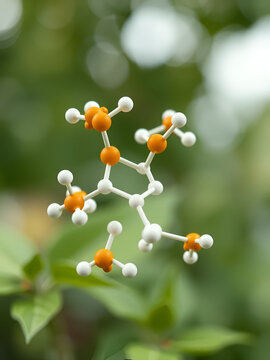 Apigenin, rotating 3D model of flavone class, seamless looped video, molecular structure with selective focus