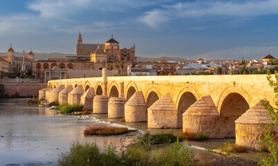 Obraz premium Roman Bridge and Mezquita Cathedral in Cordoba Spain