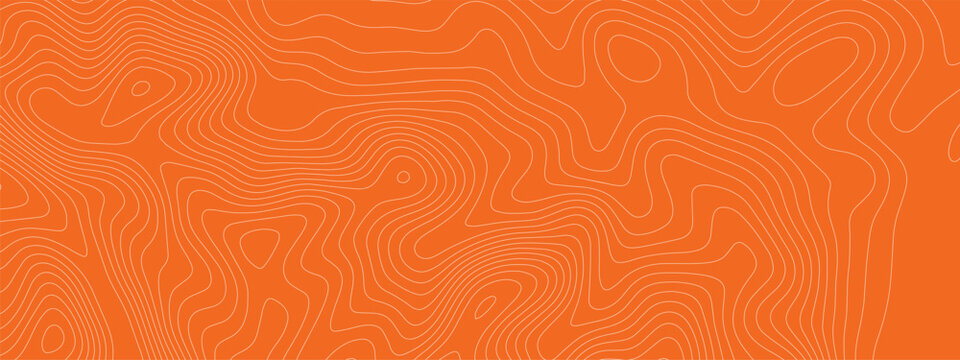 Tuna salmon meat with bg sushi fish and pattern texture abstract. Peach slice food with sketch tuna dish and fillet sashimi outline. Structure line tuna with illustration orange bg and salmon.