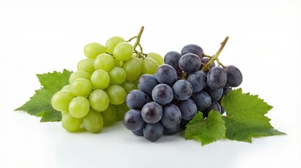 Fototapeta premium Fresh green and dark purple grapes with leaves on a clean white background