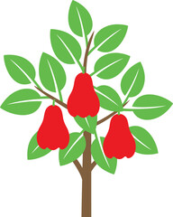 Rose apple tree logo. Isolated rose apple tree on white background