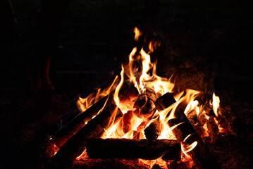 ognisko 1 © Grzegorz