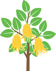 Buddha's hand  fruit tree logo. Citron. Isolated Buddha's hand fruit tree on white background