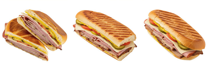 Set and collection of fresh Peruvian ceviche with marinated raw fish, red onions, sweet potato, and corn isolated on white transparent PNG background.