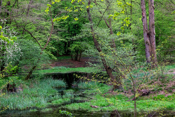 staw w parku © Grzegorz