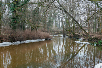 Niewielka, nieuregulowana rzeka w czasie zimowych roztopów. W wodzie widoczne są pnie powalonych drzew. Przy brzegach są tafle lodu. Brzegi pozbawione są śniegu. © boguslavus