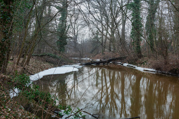 Niewielka, nieuregulowana rzeka w czasie zimowych roztopów. W wodzie widoczne są pnie powalonych drzew. Przy brzegach są tafle lodu. Brzegi pozbawione są śniegu. © boguslavus