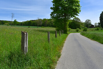 A winding asfalt road meanders through a meadows, descending towards the village of Urdorf in Switzerland on a bright spring day.