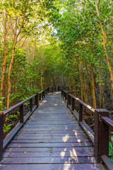 Fototapeta premium Beautiful wooden pathway into the mangrove forest. Forest nature landscape. Mangrove forest conservation area