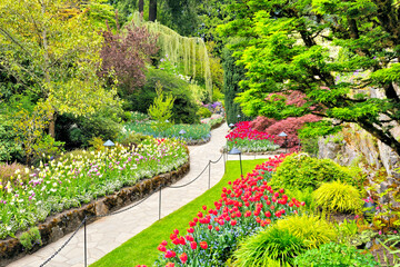 Obraz premium Butchart Gardens, Victoria, Canada. Footpath through the beautiful spring flowers of the sunken garden.