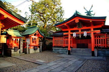 Fototapeta premium 京都 伏見稲荷大社 東丸神社