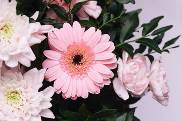 Pink gerbera daisy and pastel chrysanthemum flowers bouquet. Soft spring floral arrangement with delicate petals and green leaves. Fresh romantic blossoms closeup for celebration decoration and gift.