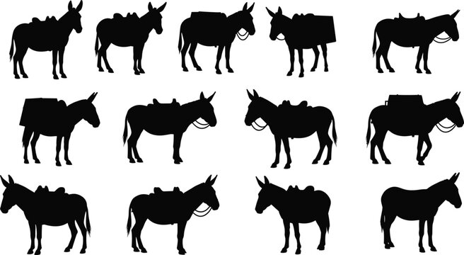 Black donkey silhouette collection set, farm animal mule with saddle and cargo pack, beast of burden vector icons on white background
