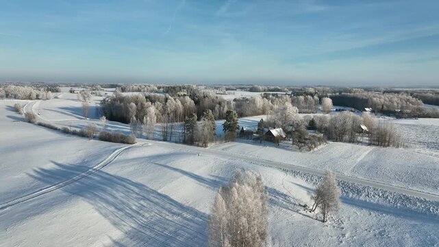 Winter landscapes with snow-covered trees in the Latvian countryside, Latgale.
