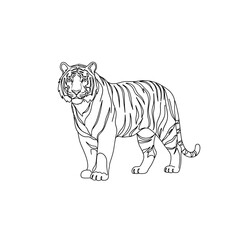Obraz premium Realistic tiger illustration showcasing majestic and powerful features with striped coat patterns. Tiger stands confidently, emphasizing wild beauty.