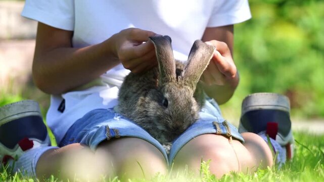 Boy playing with a rabbit on green grass