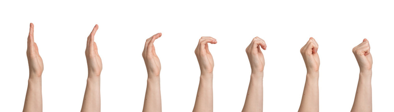 Sequence of female hand curling fingers isolated on white background. Young woman arm showing progressive finger movement from open palm to fist. Animation reference, gesture transition,
