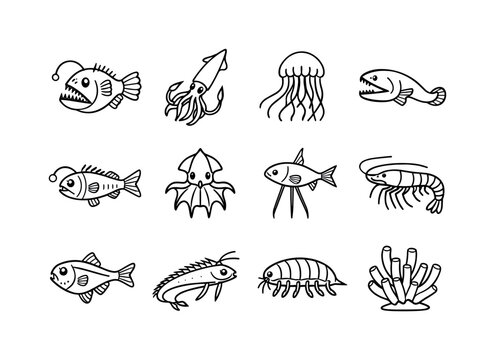 Deep sea creatures. Line icon set of Deep sea creatures: anglerfish, giant squid, deep sea jellyfish, gulper eel, lanternfish, vampire squid,