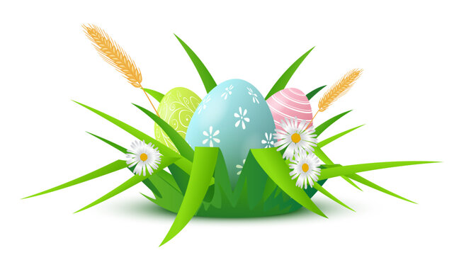 Easter background. Easter eggs among green grass blades with white daisies, golden wheat, pastel shells on white background. Spring festive colorful vector illustration.